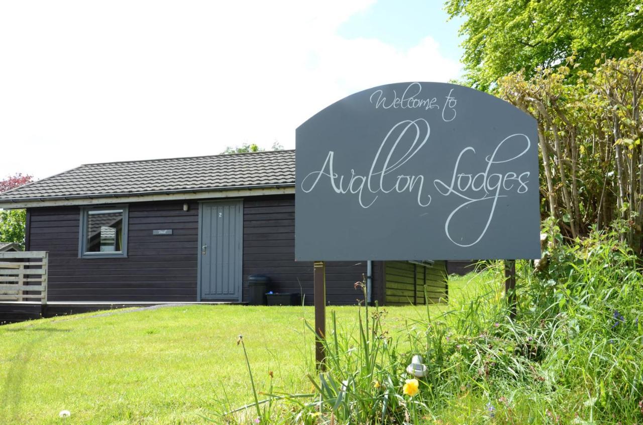 לאונססטון Avallon Lodges מראה חיצוני תמונה