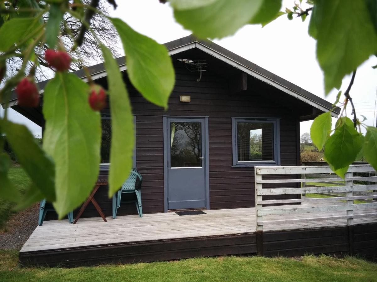 לאונססטון Avallon Lodges מראה חיצוני תמונה
