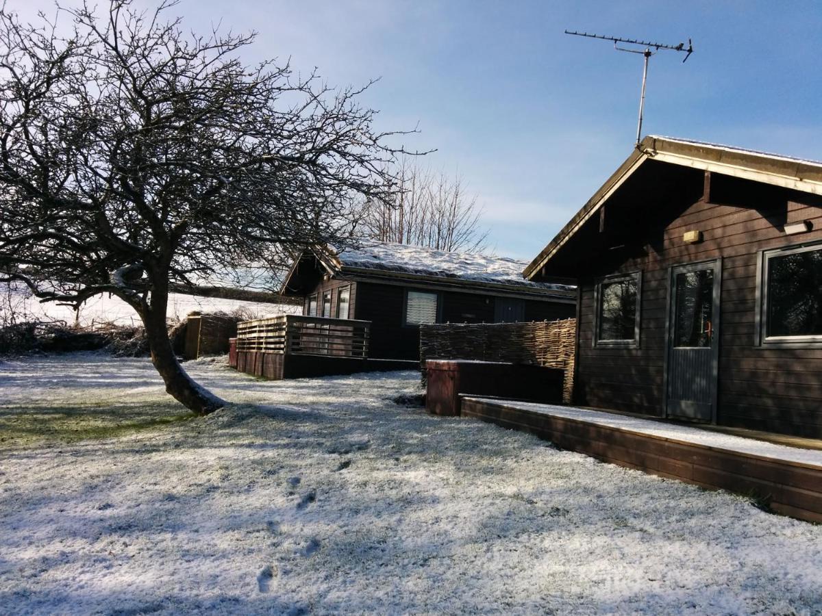 לאונססטון Avallon Lodges מראה חיצוני תמונה