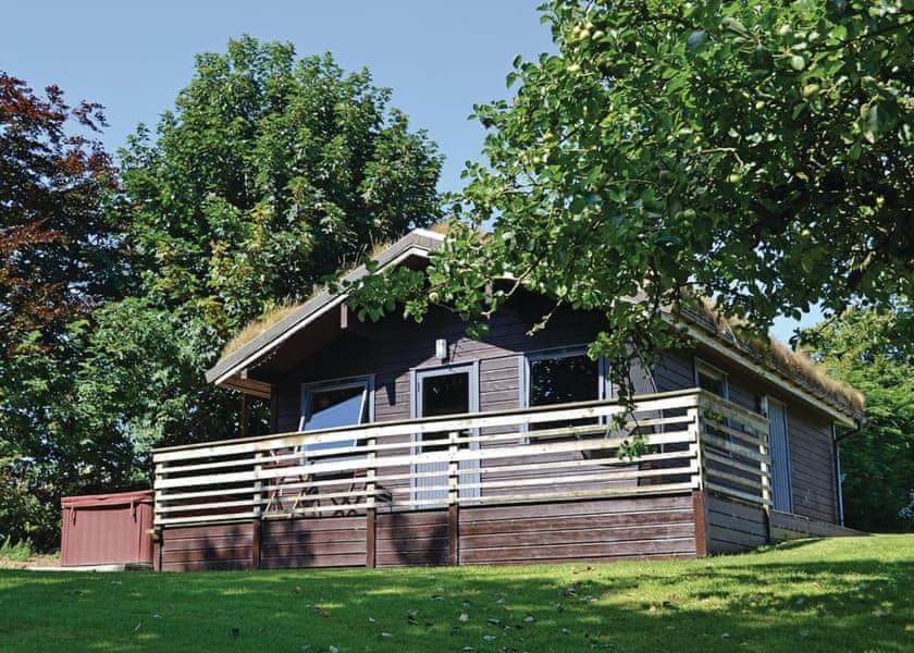 לאונססטון Avallon Lodges מראה חיצוני תמונה
